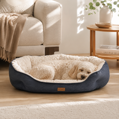 Cozy Plush Dog Bed for Indoor Sleeping Small dog sleeping in navy and cream plush bolster dog bed in a bright living room