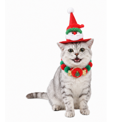 Christmas Cat Hat and Collar Set on Cat Silver tabby cat wearing a red Christmas Santa hat and red green festive collar set