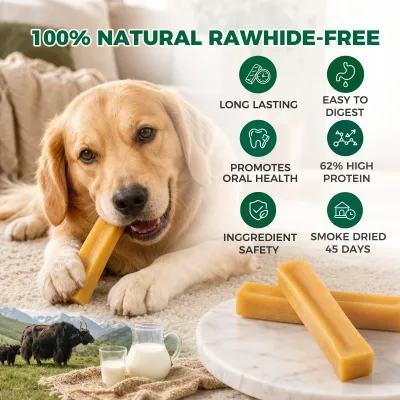 Golden Retriever chewing a natural rawhide-free yak milk dog chew with long-lasting, high-protein and oral health benefits