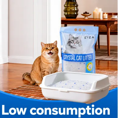 Crystal cat litter in litter box with cat, featuring low consumption silica crystals for daily use