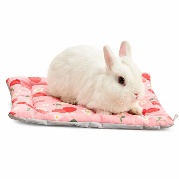 White Rabbit Resting on Pink Cherry Soft Small Pet Bed White rabbit resting on a soft pink cherry patterned small pet bed with padded edges for comfortable indoor lounging.
