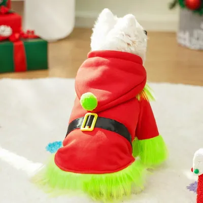 Small white dog wearing a red Christmas pet hoodie with green plush trim, black belt and yellow buckle in a festive living room.