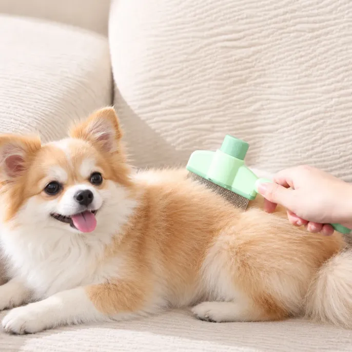 Small fluffy dog lying on a beige sofa while being groomed with a mint green slicker brush featuring fine metal bristles for coat care.